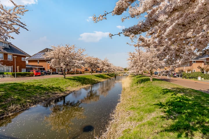 Foto 31 van Galjoen 06 35