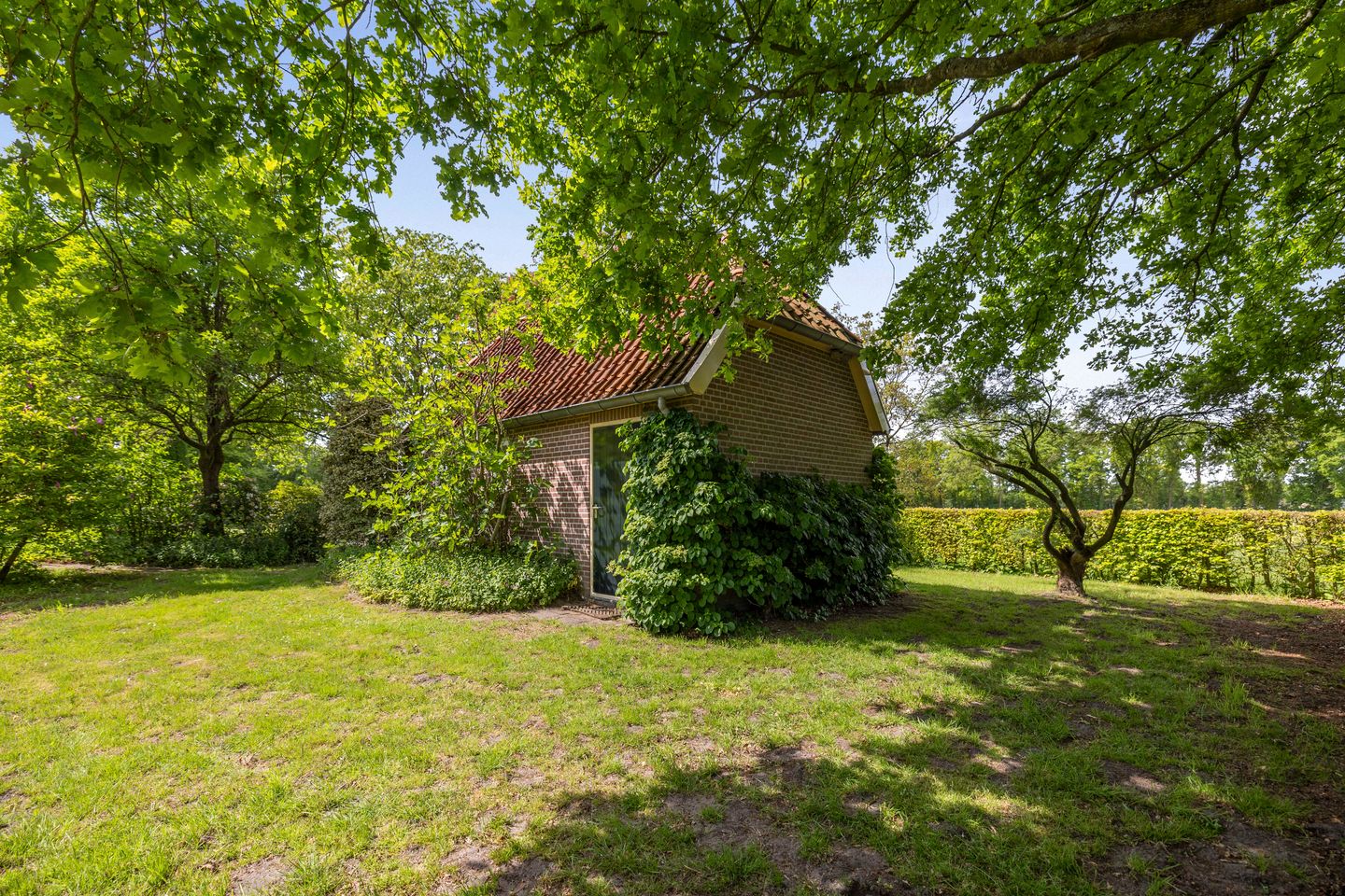 Foto 40 van Martensmaat 1