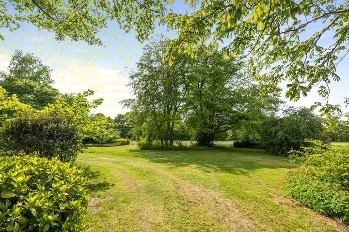 Foto 36 van Martensmaat 1