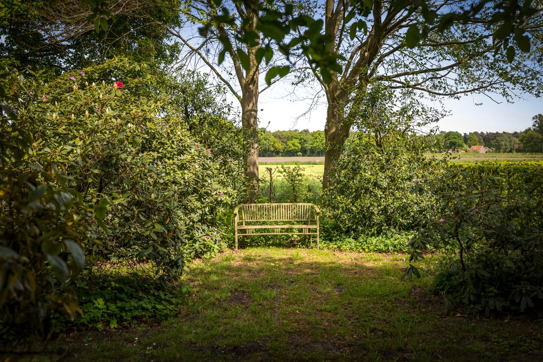 Foto 41 van Martensmaat 1