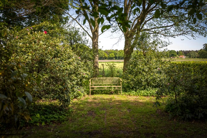 Foto 41 van Martensmaat 1