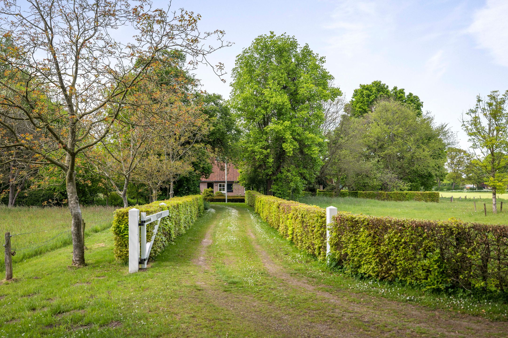 Foto 51 van Martensmaat 1