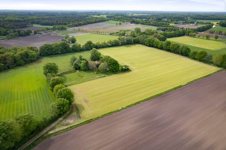 Foto 56 van Martensmaat 1