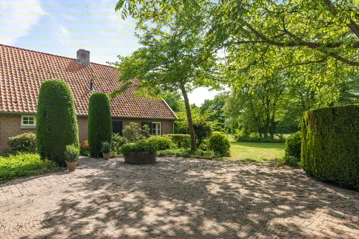 Foto 37 van Martensmaat 1