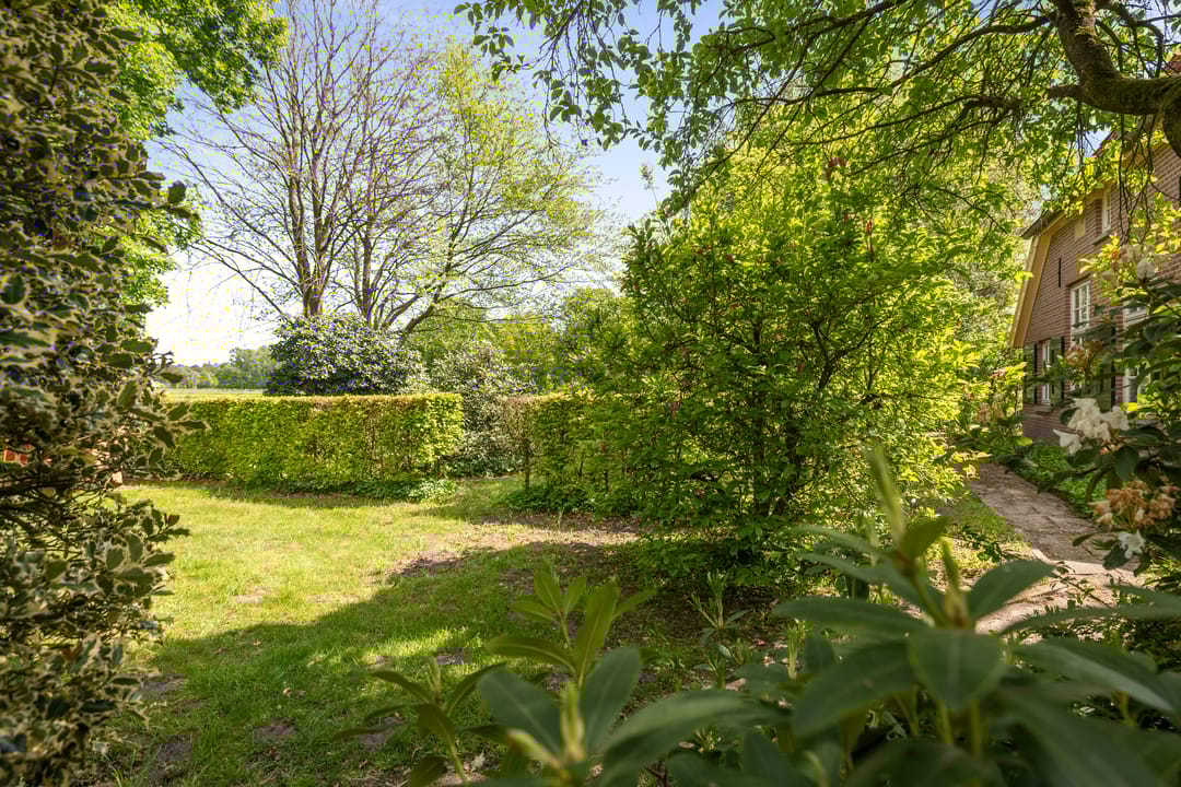 Foto 38 van Martensmaat 1