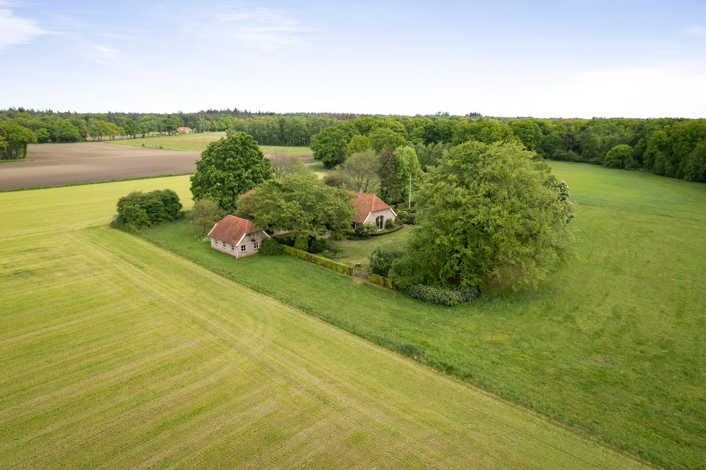 Foto 4 van Martensmaat 1