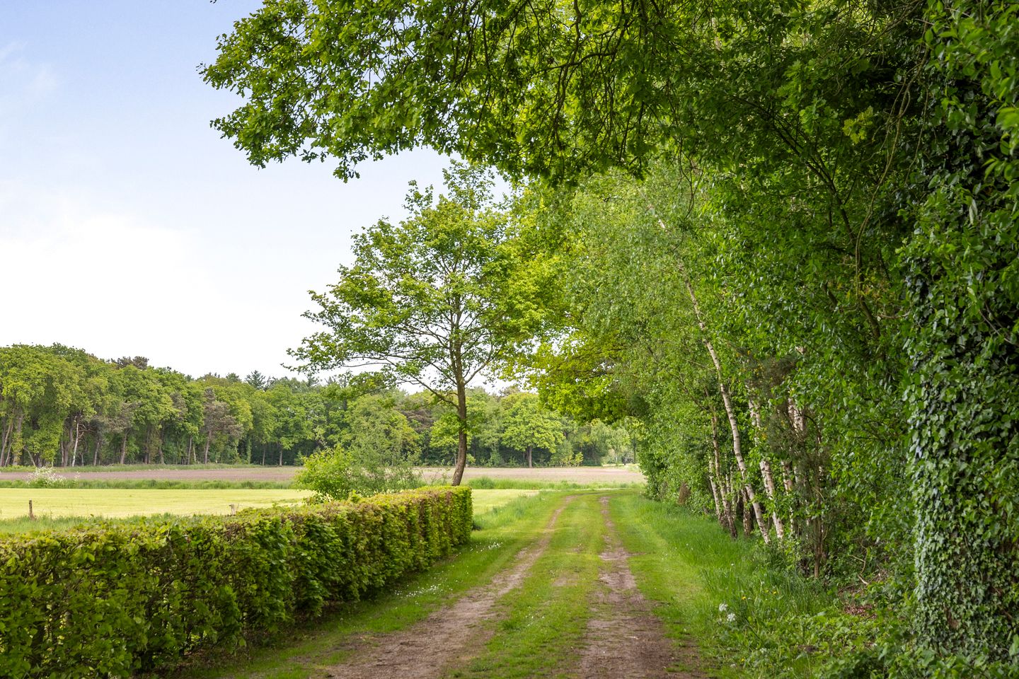 Foto 50 van Martensmaat 1