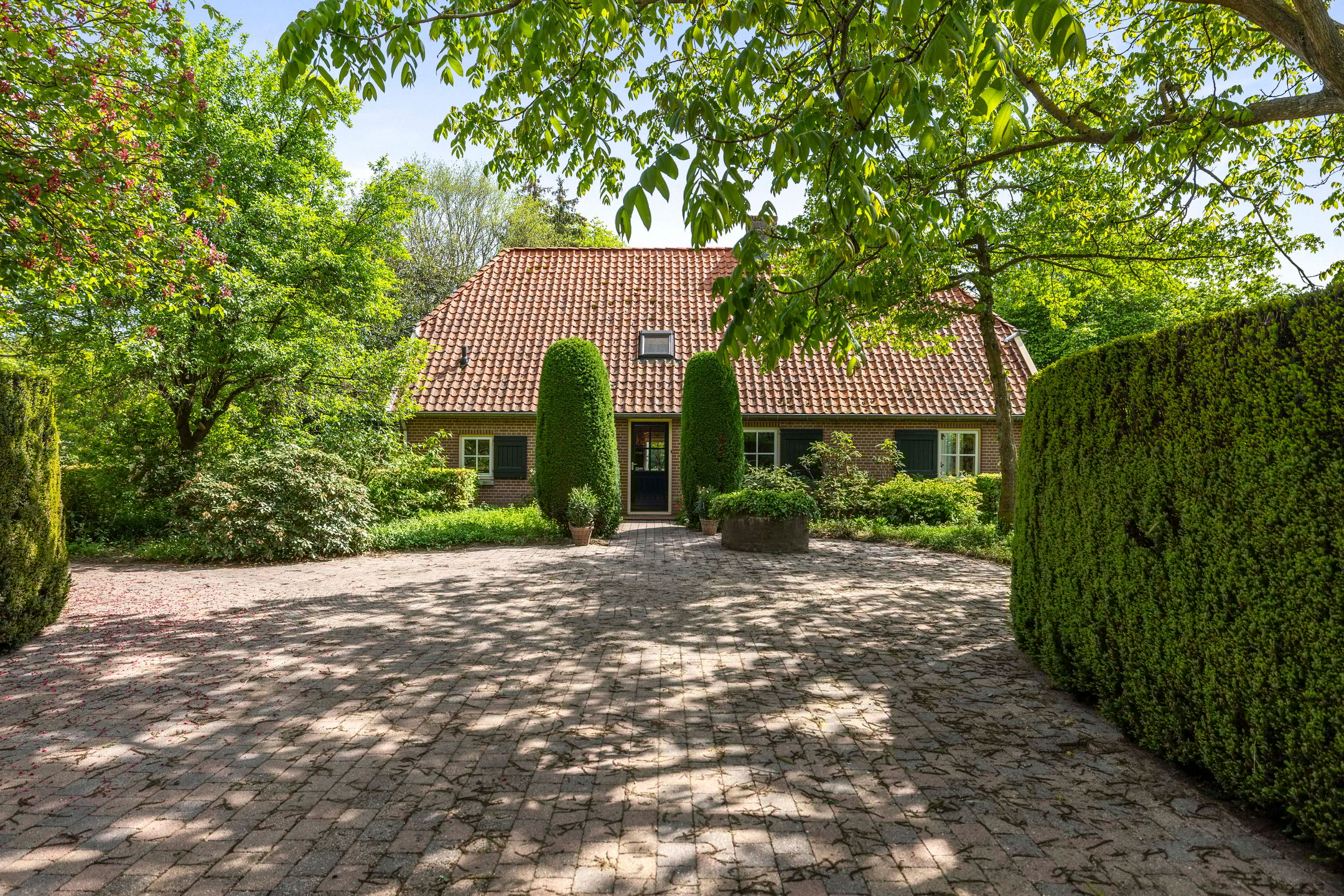 Foto 33 van Martensmaat 1