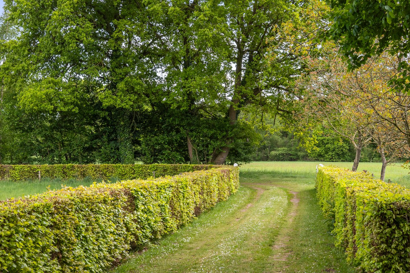 Foto 49 van Martensmaat 1