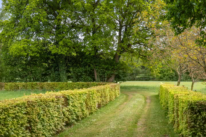 Foto 49 van Martensmaat 1