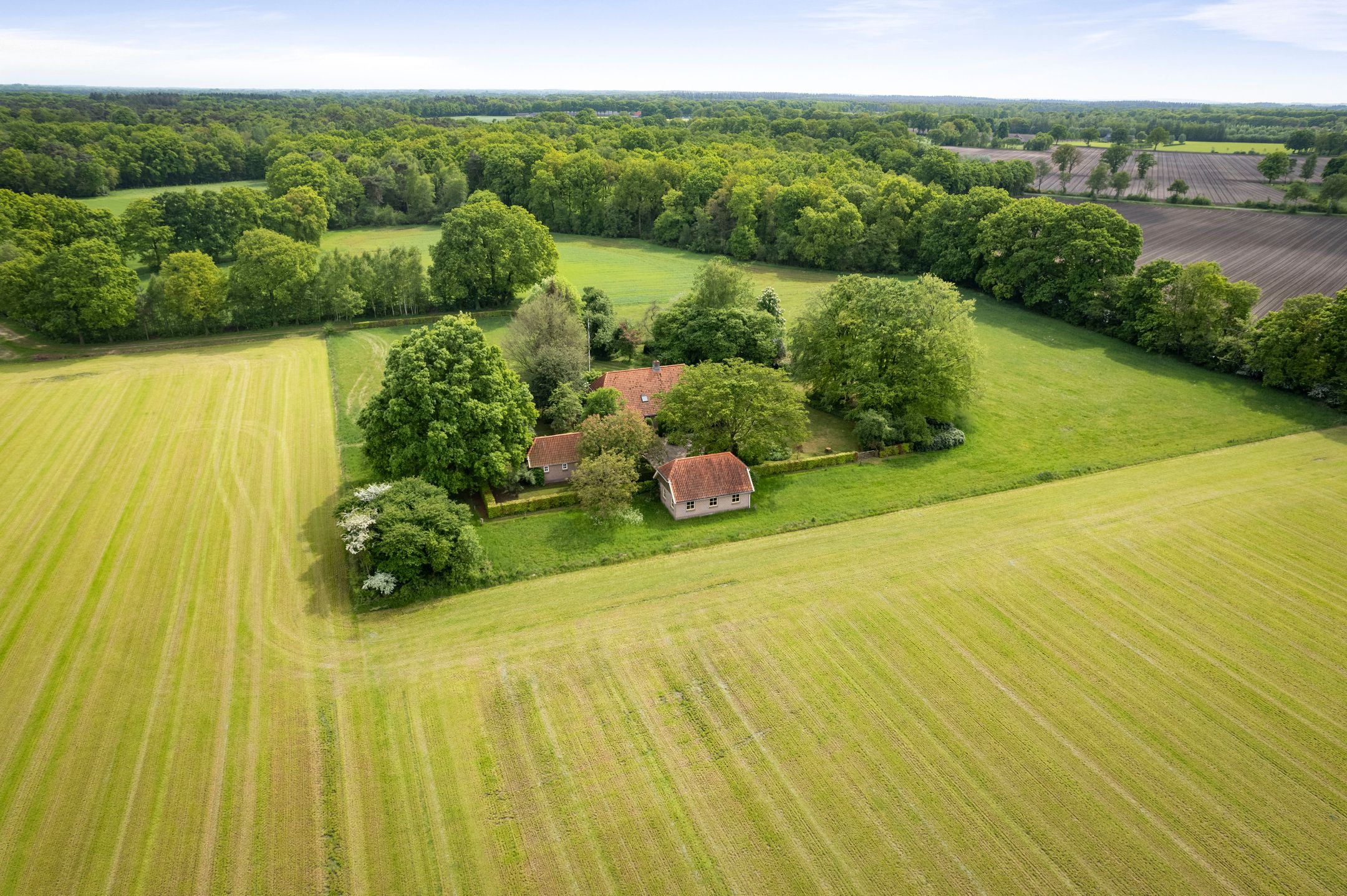 Foto 6 van Martensmaat 1