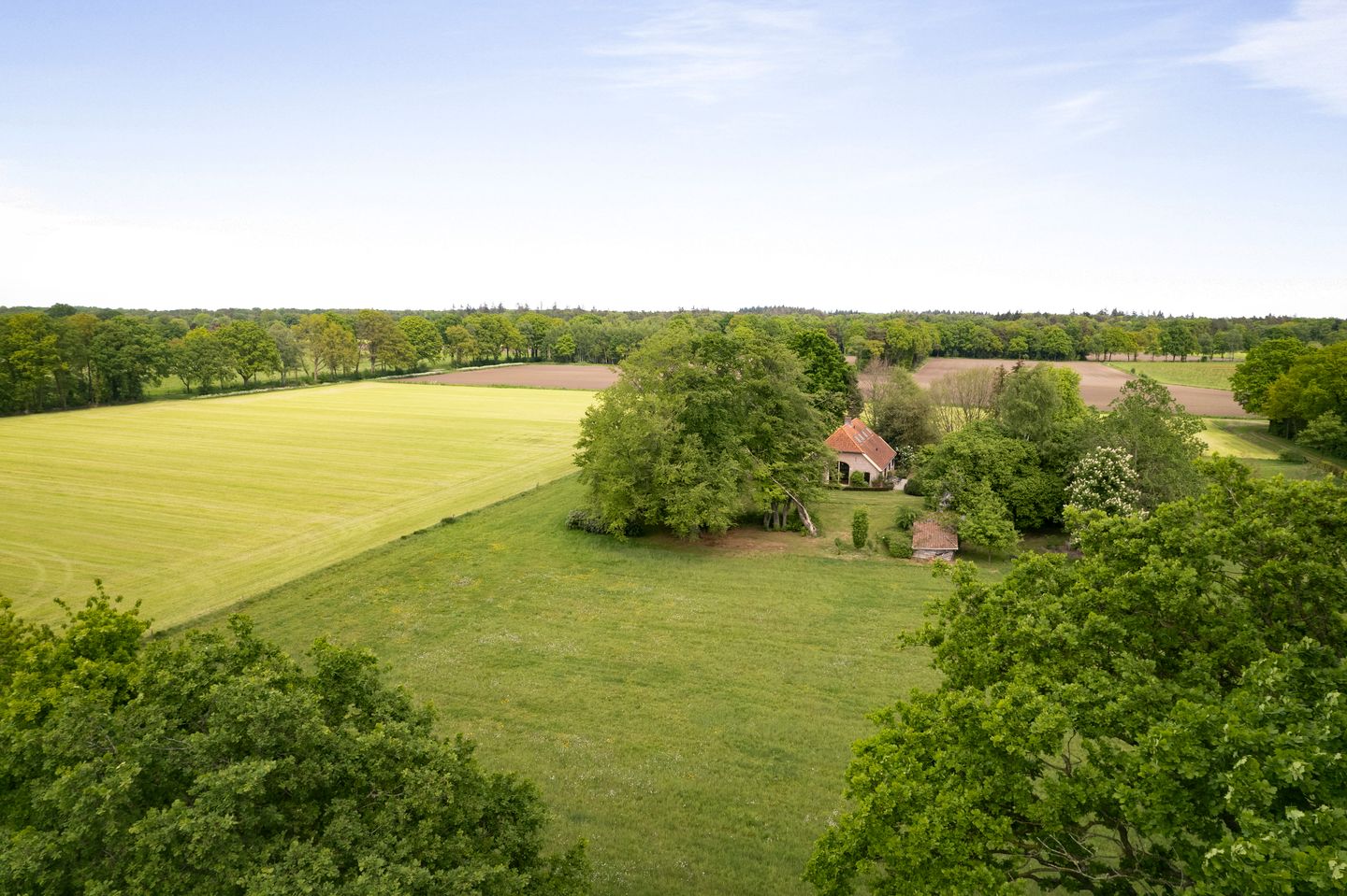 Foto 55 van Martensmaat 1