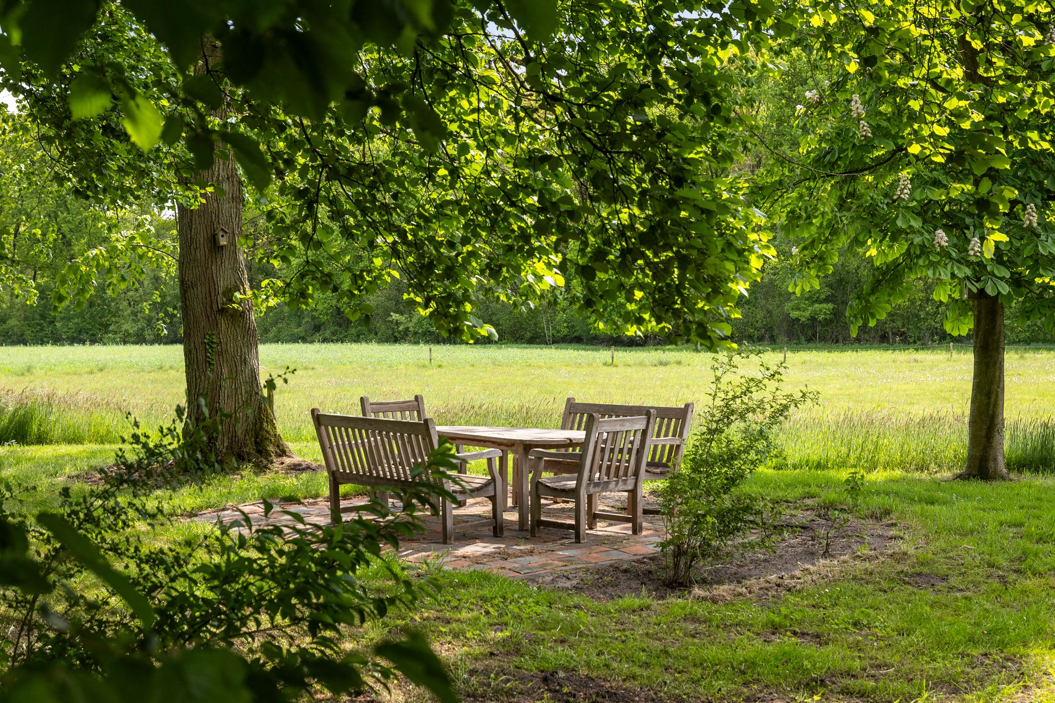 Foto 48 van Martensmaat 1