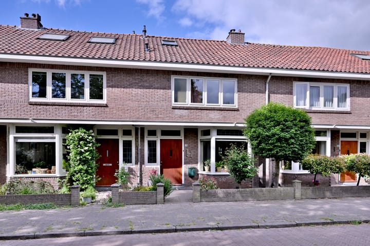 undefined main image