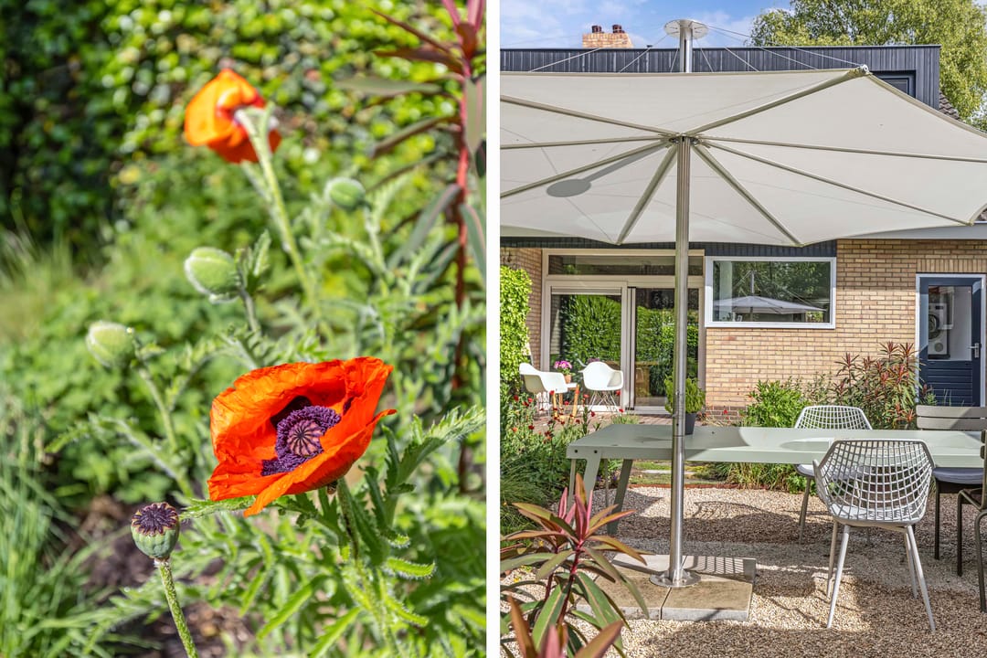 Foto 47 van Suderom 10