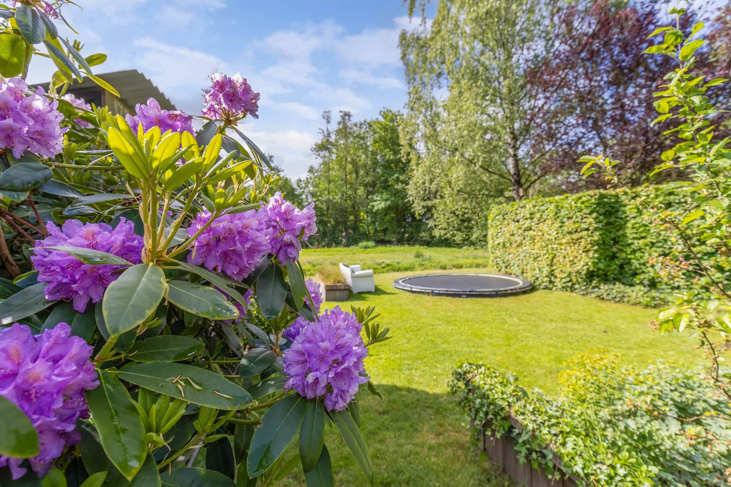 Foto 50 van Suderom 10