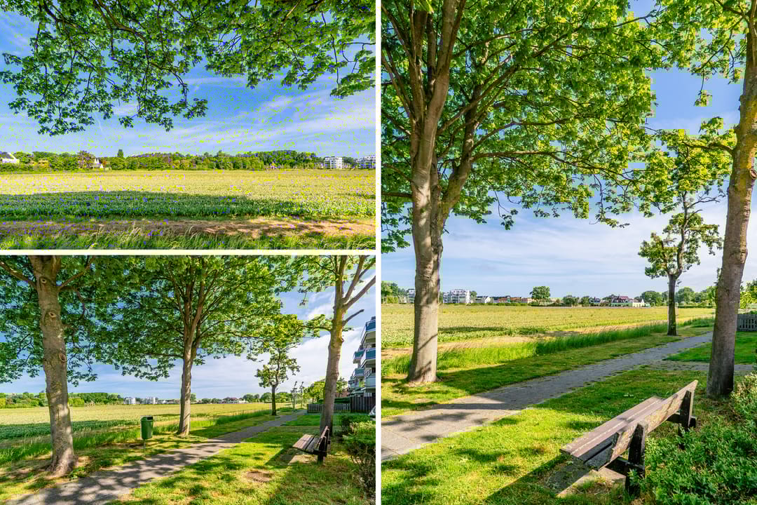 Foto 52 van Dompad 3