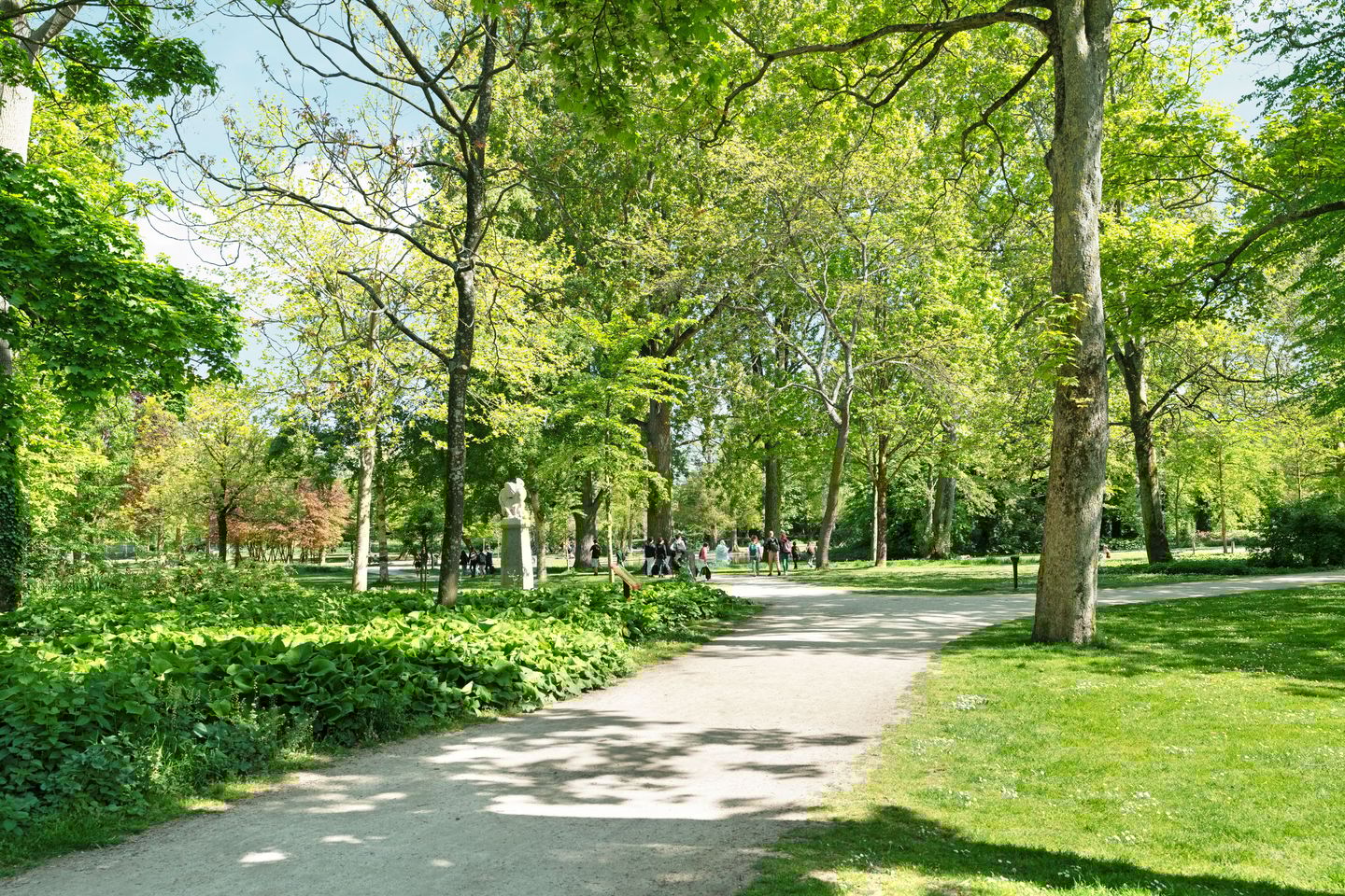 Foto 20 van Van Bossestraat 62-2