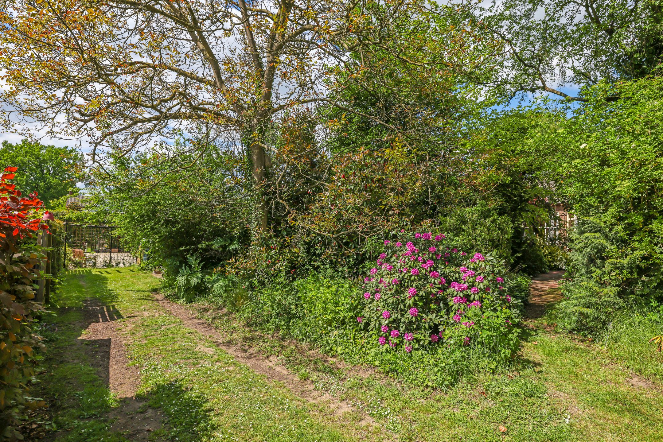 Foto 45 van A.G. Noijweg 36