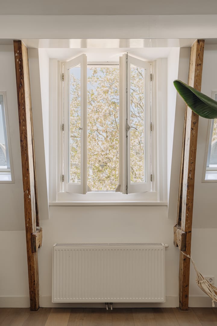 Foto 9 van Blasiusstraat 32-3