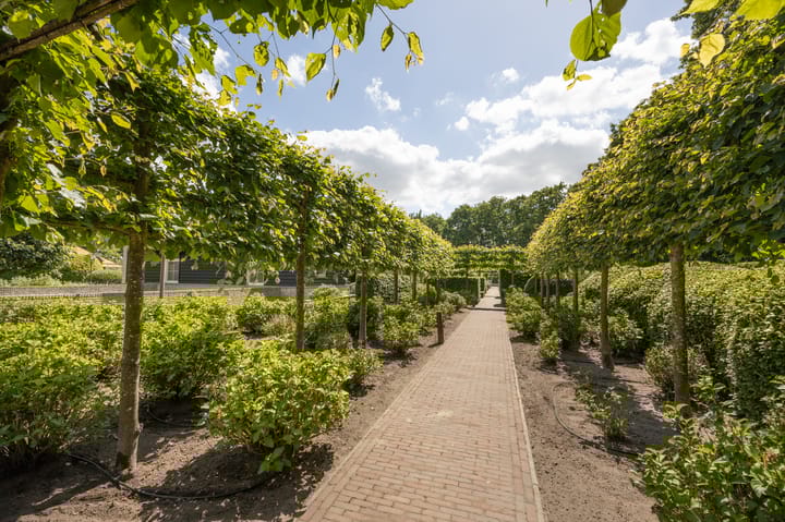 Foto 58 van Zoeksestraat 19