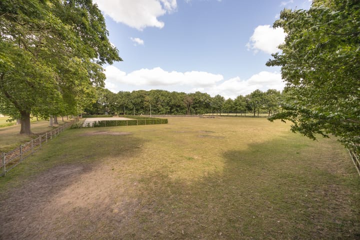 Foto 76 van Zoeksestraat 19