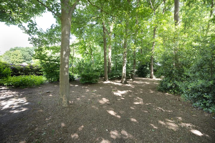 Foto 77 van Zoeksestraat 19