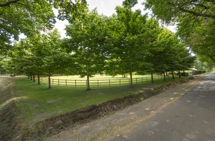 Foto 79 van Zoeksestraat 19