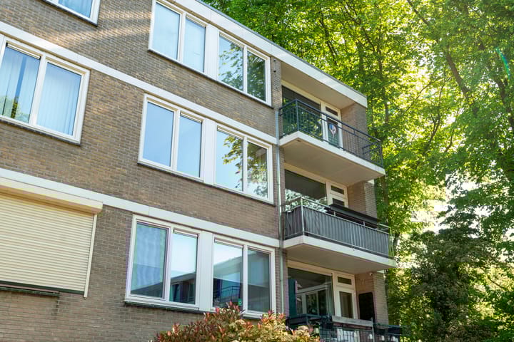 Photo 5 of Capella 81