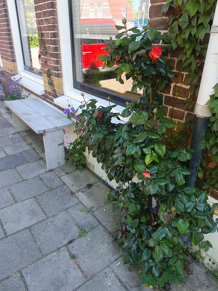 Foto 56 van Oosterstraat 31