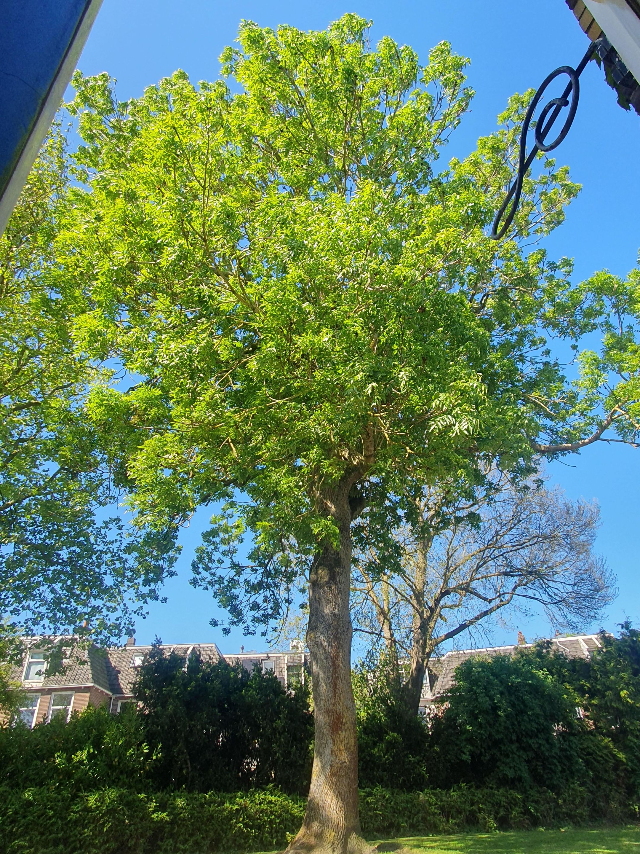 Foto 57 van Oosterstraat 31