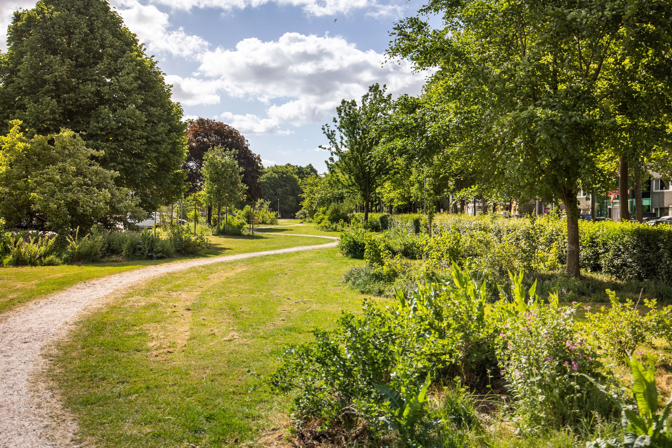 Foto 21 van Wogmeerstraat 2