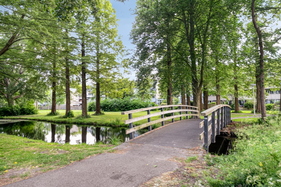 Foto 31 van Ruigenburg 173