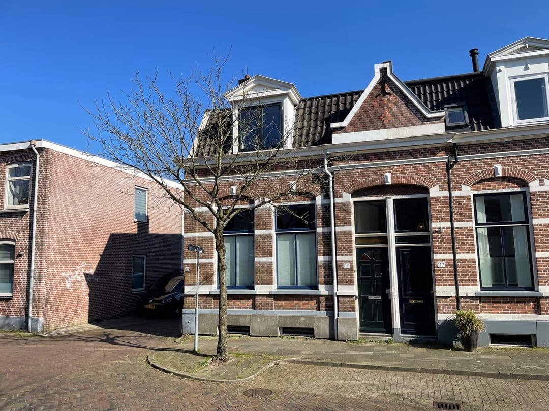 Foto 2 van Van der Laenstraat 115