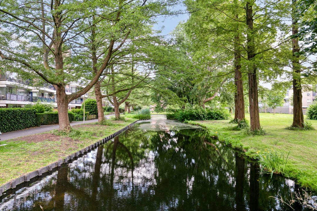 Foto 32 van Ruigenburg 173