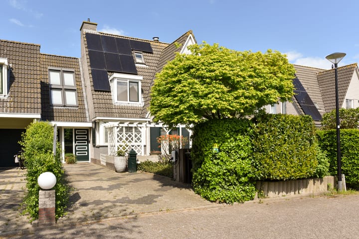 Foto 4 van Zirkoon 28