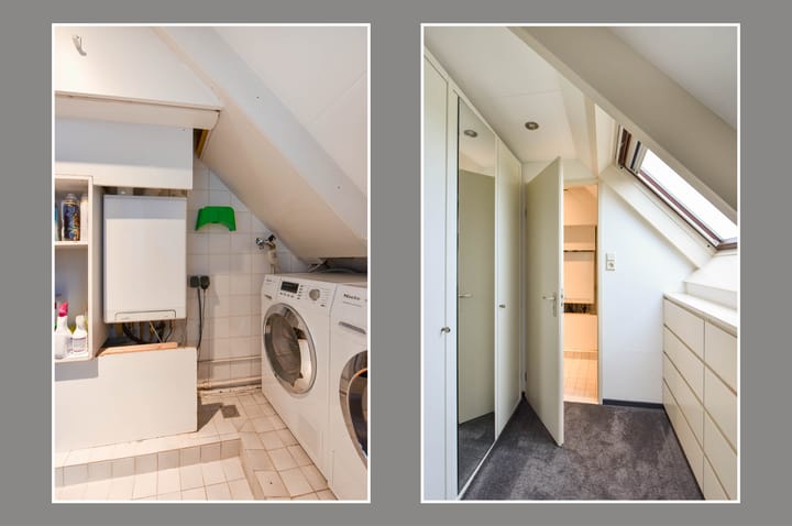 Foto 29 van Zirkoon 28