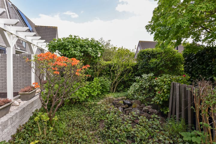 Foto 40 van Zirkoon 28