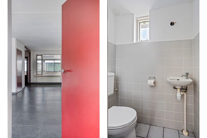 Foto 10 van Wollegras 1