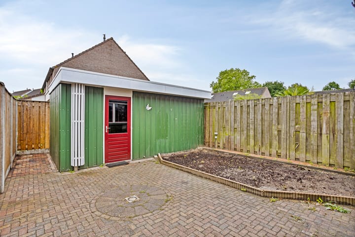 Foto 20 van Wollegras 1