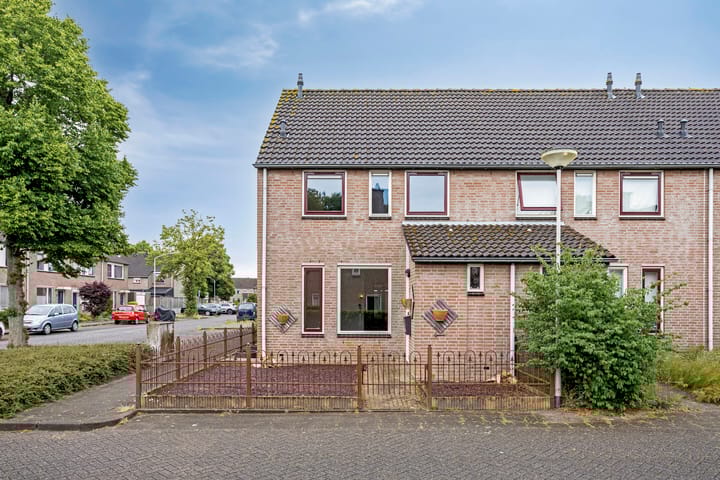 Foto 23 van Wollegras 1