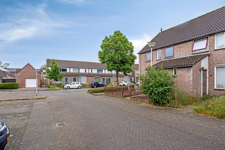 Foto 24 van Wollegras 1