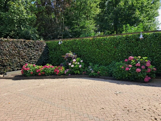 Photo 55 of Trambaan 25