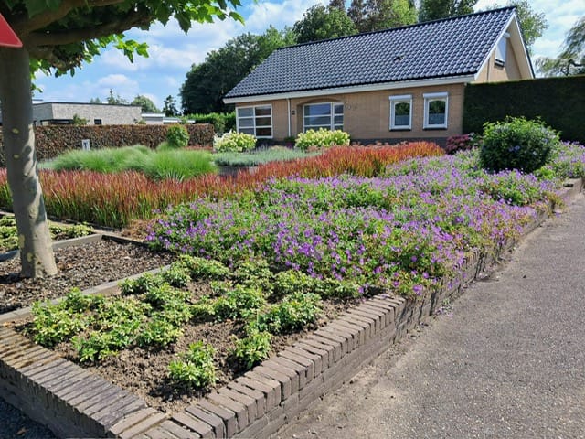 Photo 58 of Trambaan 25