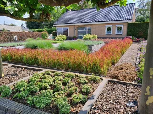 Photo 60 of Trambaan 25