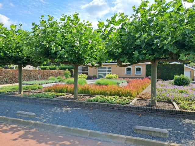 Photo 61 of Trambaan 25