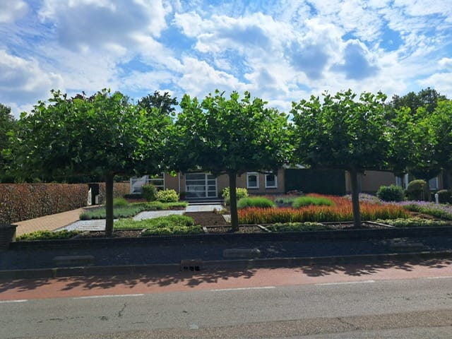 Photo 64 of Trambaan 25