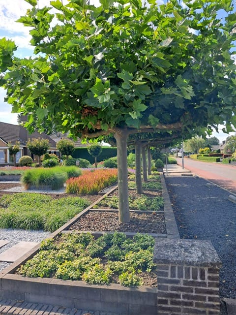 Photo 65 of Trambaan 25