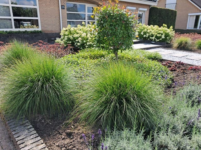 Photo 67 of Trambaan 25