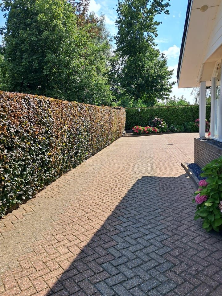 Photo 69 of Trambaan 25